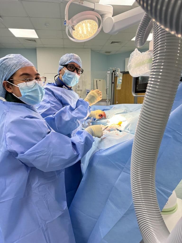 Dr Jogiya in the cardiac catheterisation laboratory