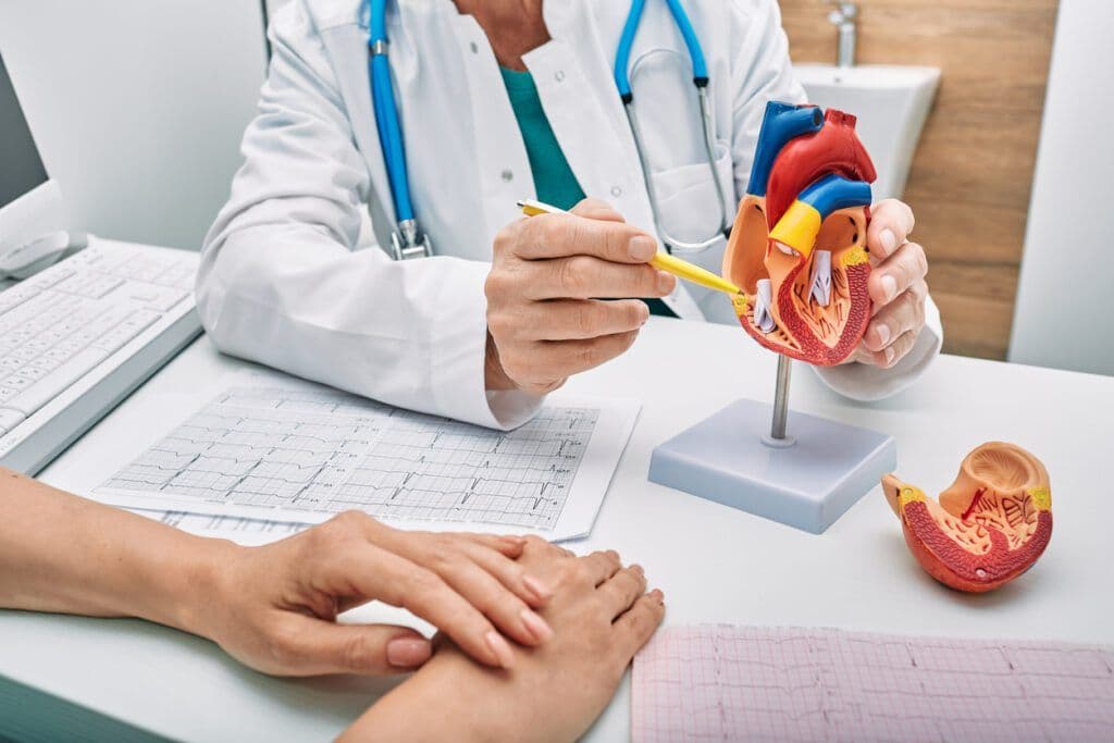 A cardiologist explaining a heart model to a patient